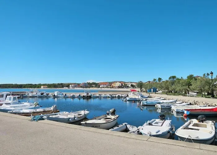 Joso Dalmatia Vir